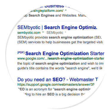 search engine optimizer